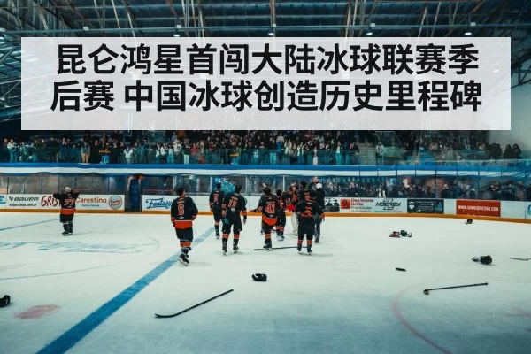 ice hockey arena crowd