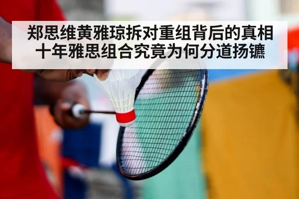 郑思维黄雅琼拆对重组背后的真相 十年雅思组合究竟为何分道扬镳